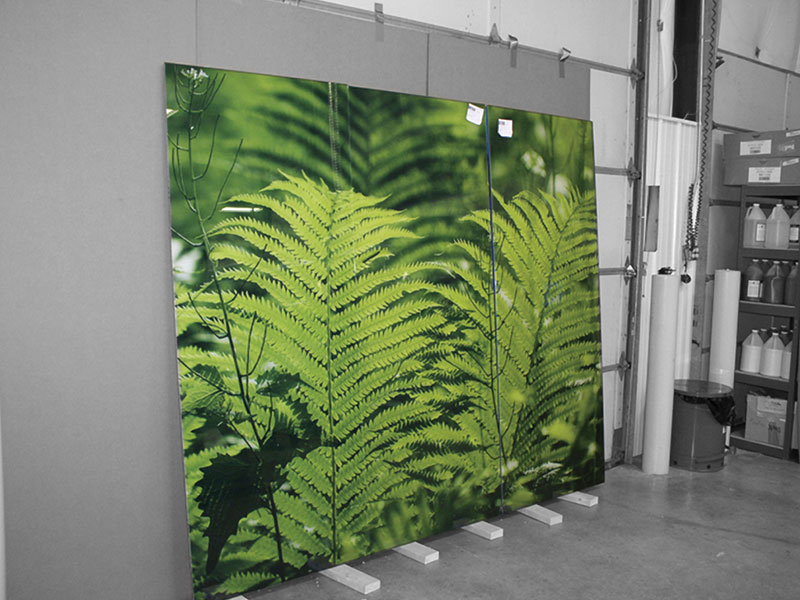 Window Graphics